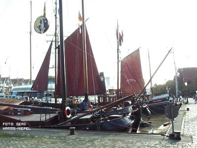 Traditionssegler im Hafen